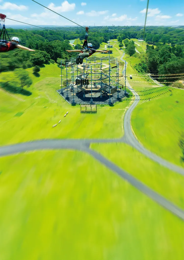 写真 ジップラインの空撮