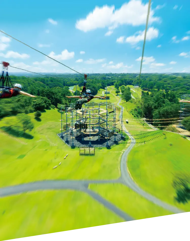 写真 ジップラインの空撮